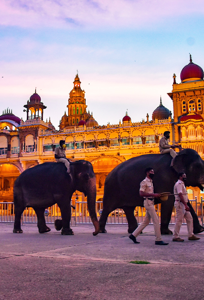 Mysore